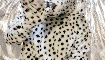 Cute Pup Paws Off For You