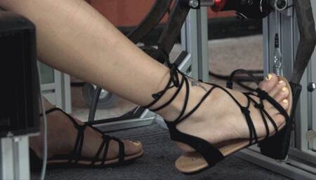 Sushii Takes Another Drive in the Simulator (MP4 - 720p)