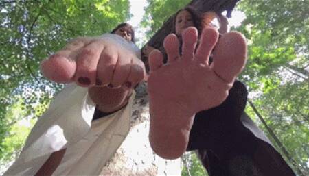 VR 180 - The Forest Sirens