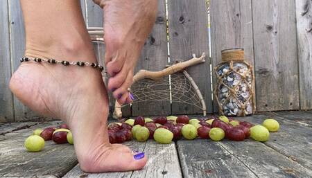 Grape Stomp Fest: Crushing Grapes the Old-Fashioned Way!