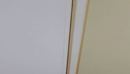 Anastasia closet and hopping fun