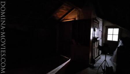 In the Attic of my Italian Villa - Chapter ONE