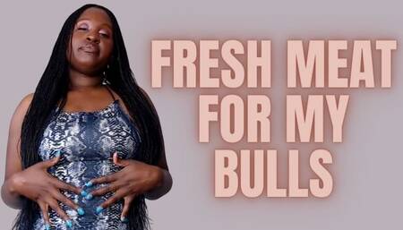 Fresh Meat For My Bulls