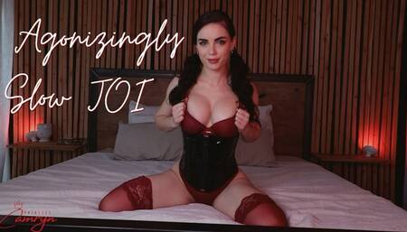 Agonisingly Slow JOI