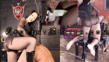 Pegged into a Puddle Hands Free Orgasm wmv