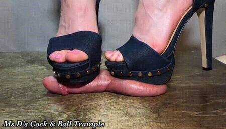 Jumping and Bouncing on your Balls! SD