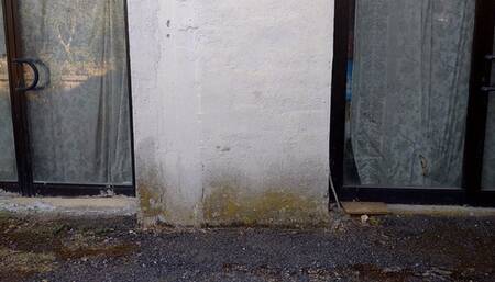 Stefy transfering in jail