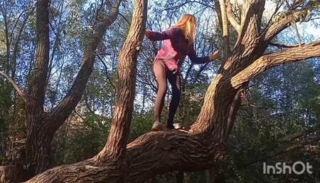 An Amazon escaped from the jungle