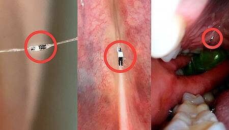 I'm mocking my slave! CUSTOM