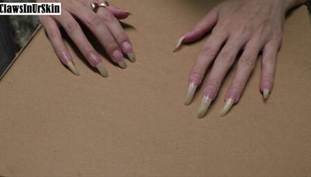 sharp nails scratching and piercing cardboard hard