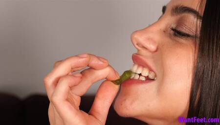 Yummy Gummy Vore - HD MP4