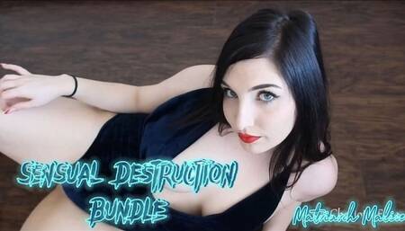 Sensual Destruction Bundle