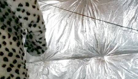 Trapped in a Halloween Costume