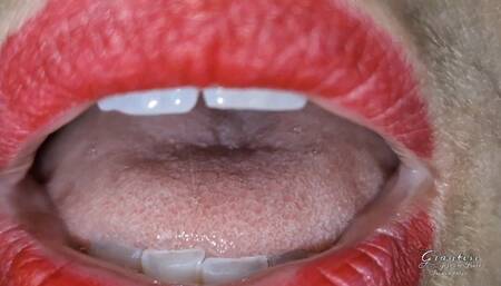 Reverse talking mouth view