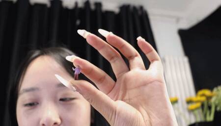 4K QIQI Goddess farts