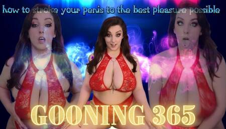 Gooning 365: Day 9 Stroking Techniques (480 WMV)