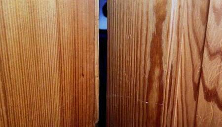 Alessa Milano does a fisitig show