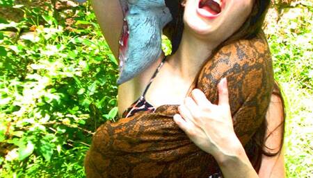 Jungle Perilous! 5: Fair Game (starring Ziva Fey)