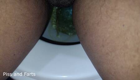 5 Minutes of Piss, Plops, and Farts From Last Week (WMV)