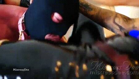 Destroying our Cock Sucker