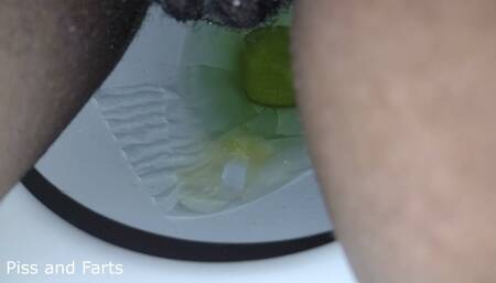 Pissing on Tissue and Very Gross, Stinky Farts (MP4)