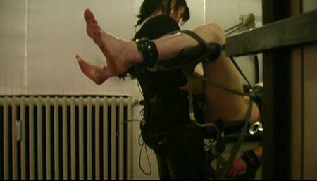 JEANS STRAP ON EDUCATION