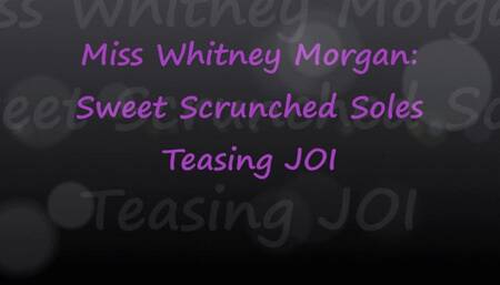 Miss Whitney Morgan: Scrunching Soles Teasing JOI