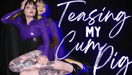 Teasing My Cum Pig (WMV)