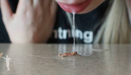 Zaurus Cruel Shrink Spit And Vore