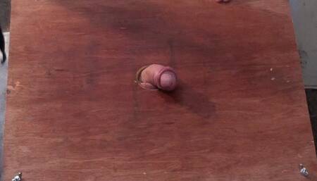 NEW, UGG BOOTS & UGG TRAINERS CAM 3 PART 2