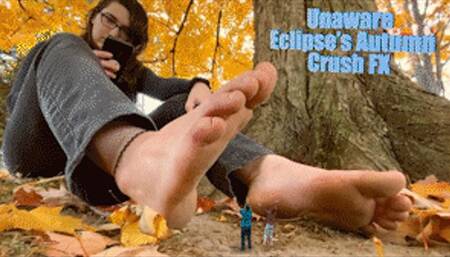 Unaware Eclipse's Autumn Crush FX - HD 1080p Version