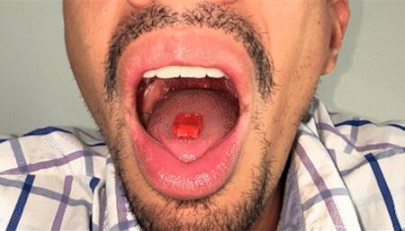 GIANT RICKO & THE CUTE AND TASTY LITTLE GUY