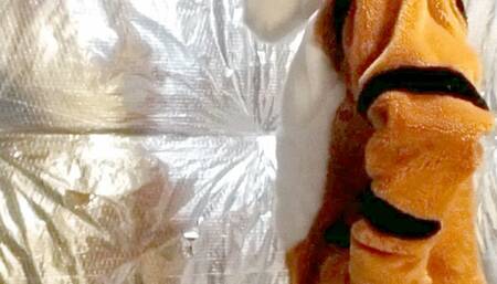 Fang and the Haunted Gasmask