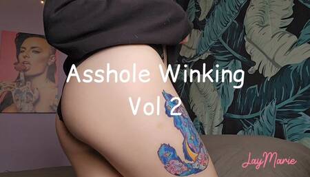 Asshole Winking Vol 2