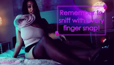 INTERACTIVE BRAINLESS SNIFFS TO FINGER SNAPS