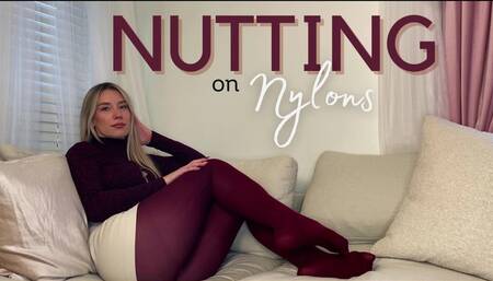 Nutting on Nylons
