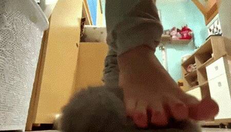 The slave is My slipper