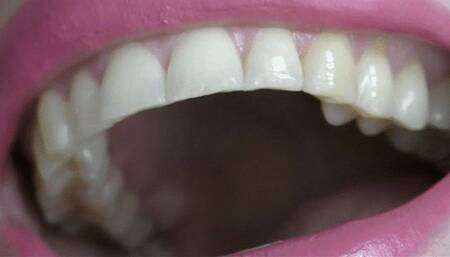 Mercilessly eating bears MP4 FULL HD 1080p