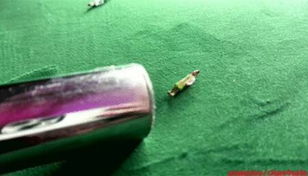 Sucking the guests after party wmv