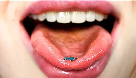 My Burp slave (CUSTOM)