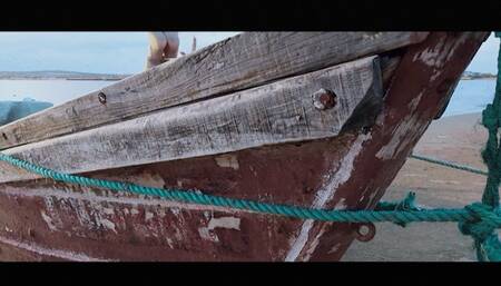 YT2156 Love of The Tracker