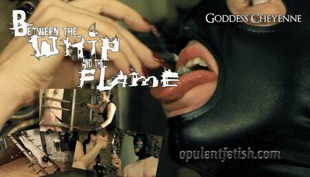 Between the Whip and the Flame wmv