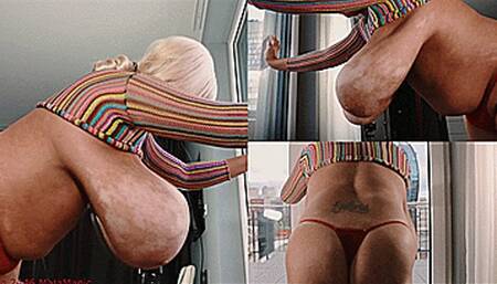 2500th Clip Celebration - 60 minutes Clip Compilation No 25 (Clip No 2500 - wmv version)