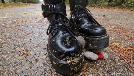 Crushing Tangerines Pumpkin and Plushie