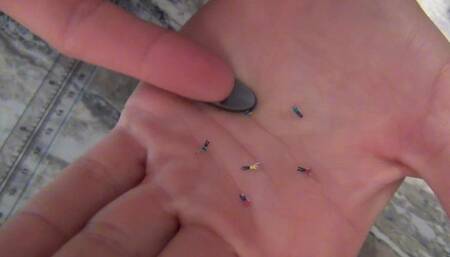 Kookie Swallows Micro Men!