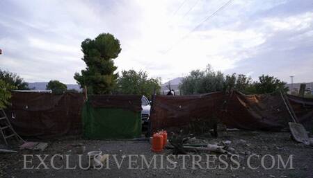 S339 Degradation of the convicted slave