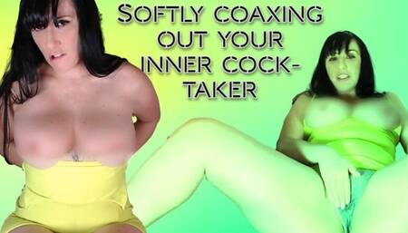 Softly Coaxing Out the Inner Cock Taker wmv