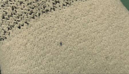 Kendra Allure Finds Shrunken Step-Son (SD 720p WMV)