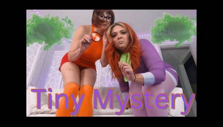 Tiny Mystery (WMV)