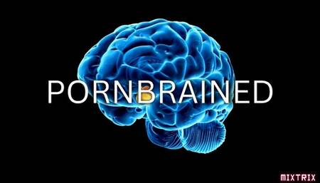 Pornbrained (no music)